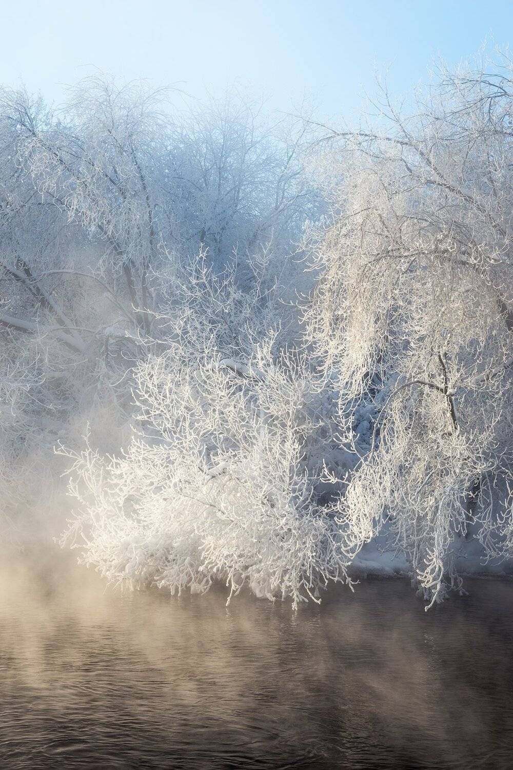 Автор: Алексей Козаченко , Алексей Козаченко