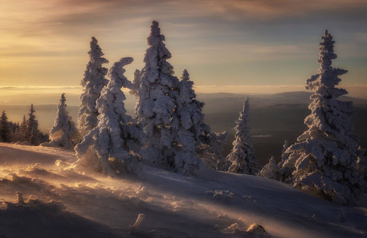 , Татьяна Бирюкова