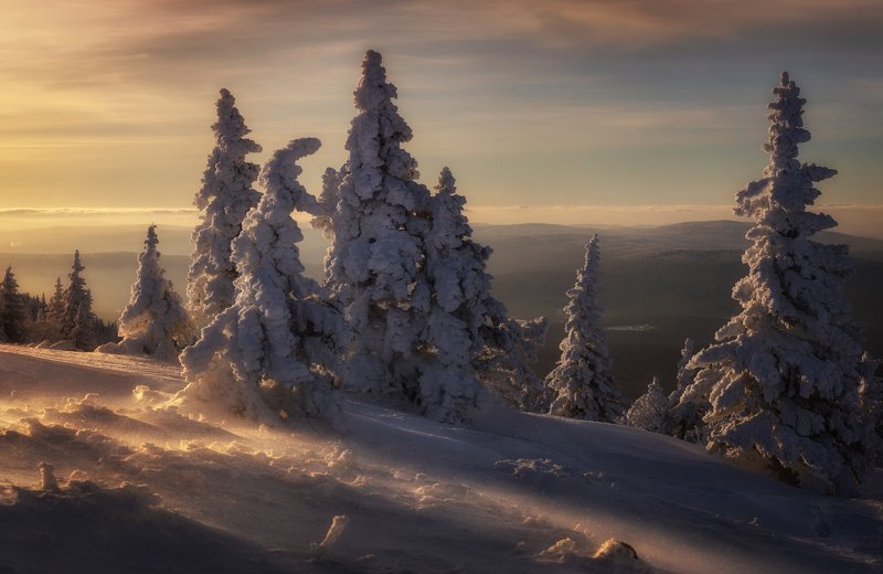 Вечерняя поземкаphoto preview