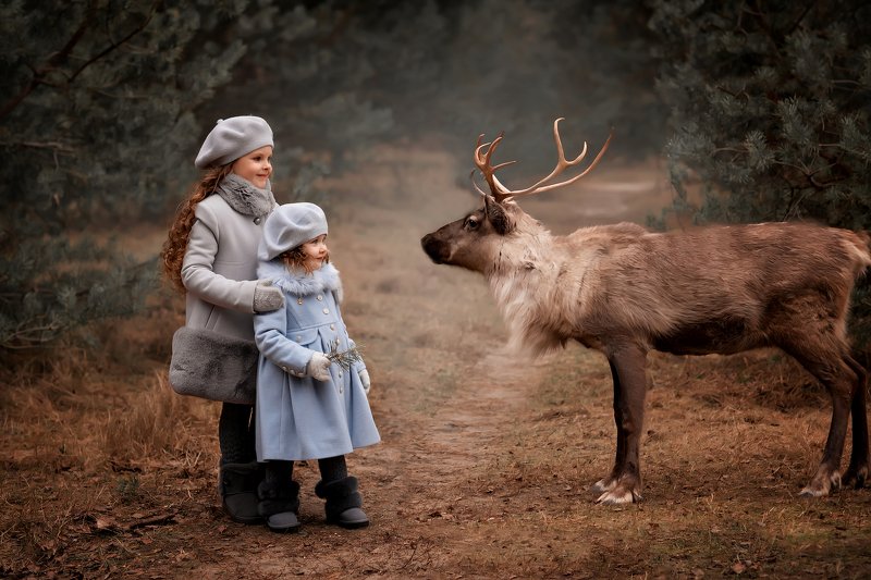 детский фотограф Сказкаphoto preview