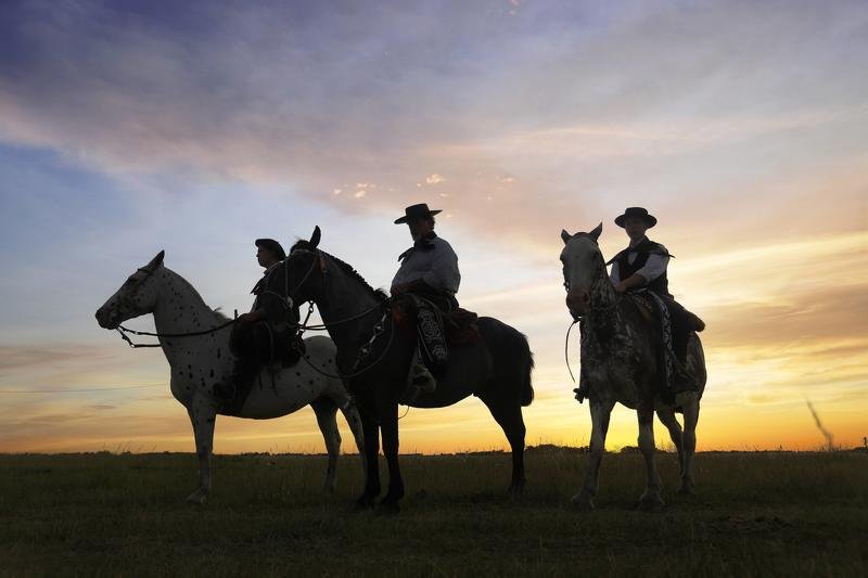 pampas pampasphoto preview