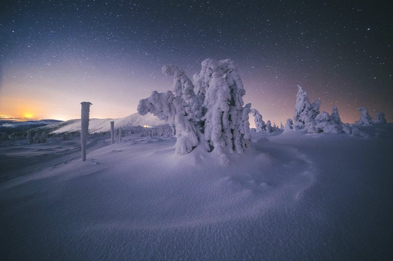 Snow trekkersphoto preview