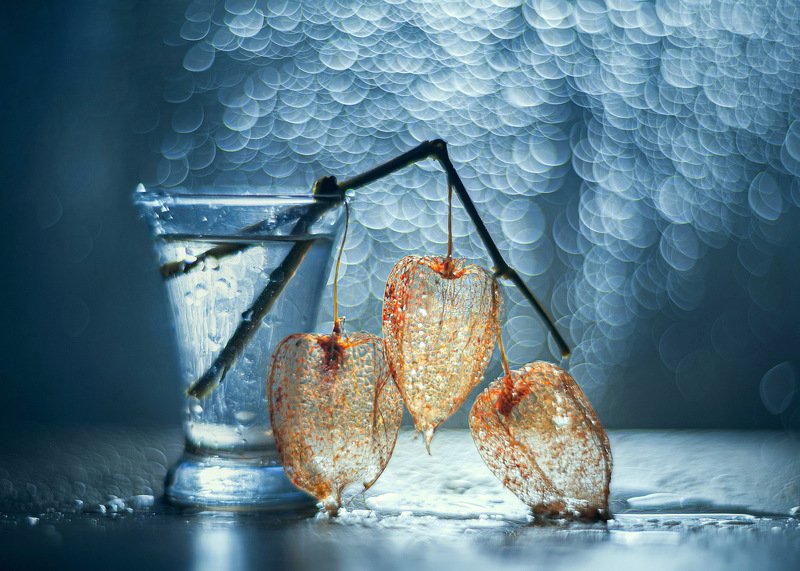 Вареныйphoto preview