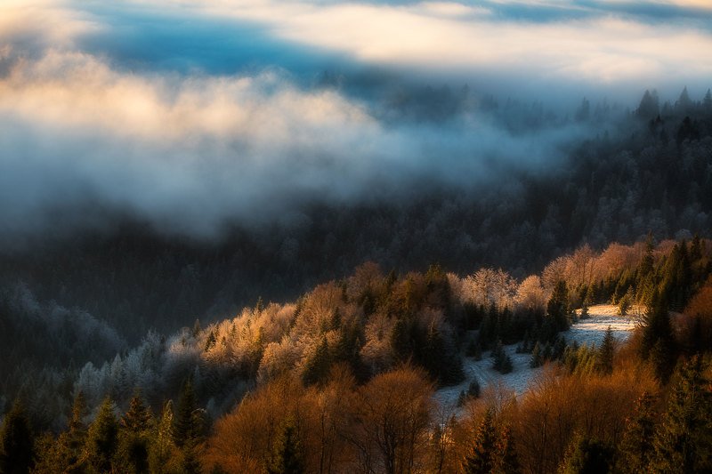 #landscape #fog #sunrise #poland #gorce When the fog is nearphoto preview