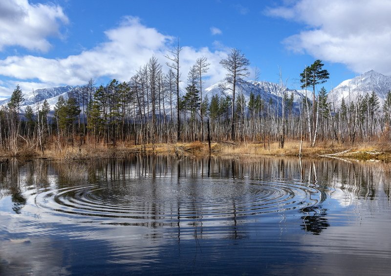 Время...photo preview