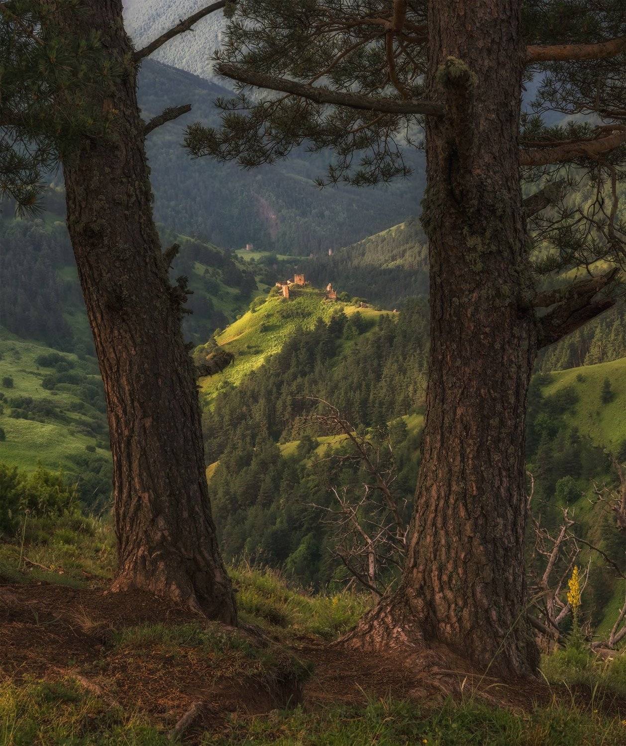 Горная Ингушетия. Автор: Николай Мысливцев кавказ, ингушетия, заповедник, эрзи, фототур, андрей грачёв, утро, лето, Николай Мысливцев