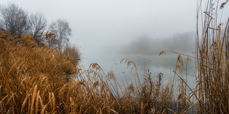 В туманное Рождествоphoto preview