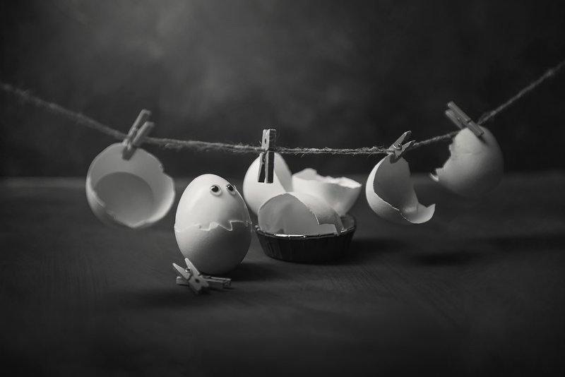 яйцо, eggs, стирка, чб, концепты, прачка Laundressphoto preview