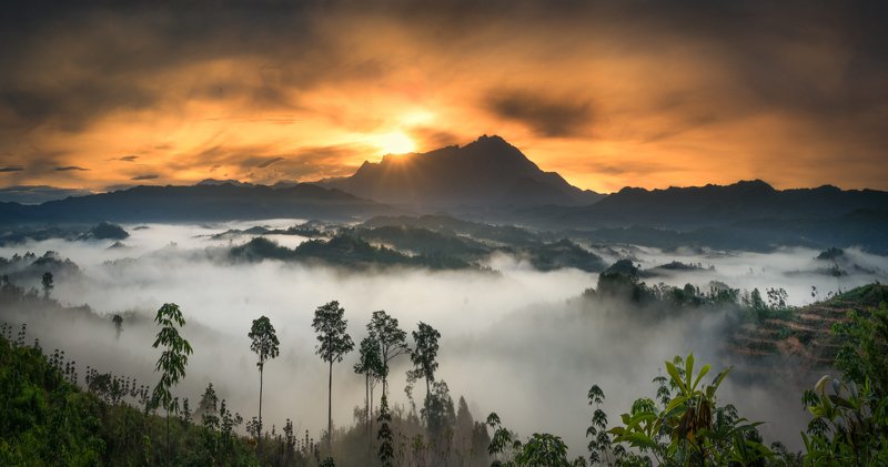 Guakon Sunrisephoto preview