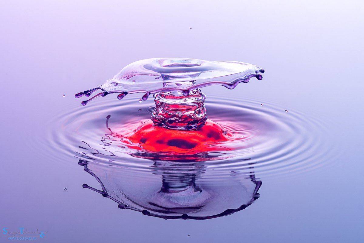 Автор: Сергей Толмачев вода, капли, жидкость, макро, арт, liquid, liquidart, splash, drop,, Сергей Толмачев