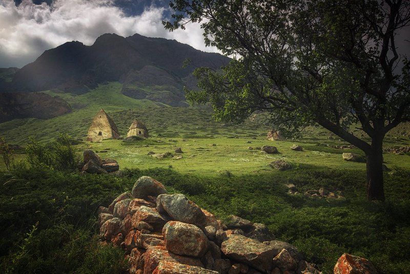 Город мертвых, Горы, Дерево, Кавказ, Камни, Лето Город мертвыхphoto preview