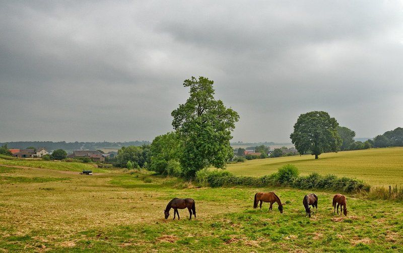 Пасмурный деньphoto preview