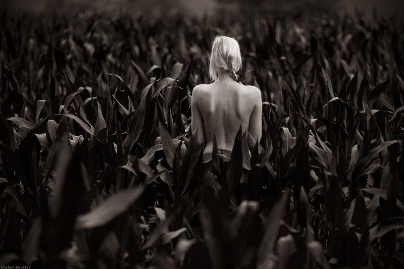 sky is the limitphoto preview