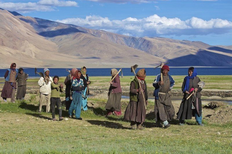 А впереди еще домашние хлопоты….photo preview