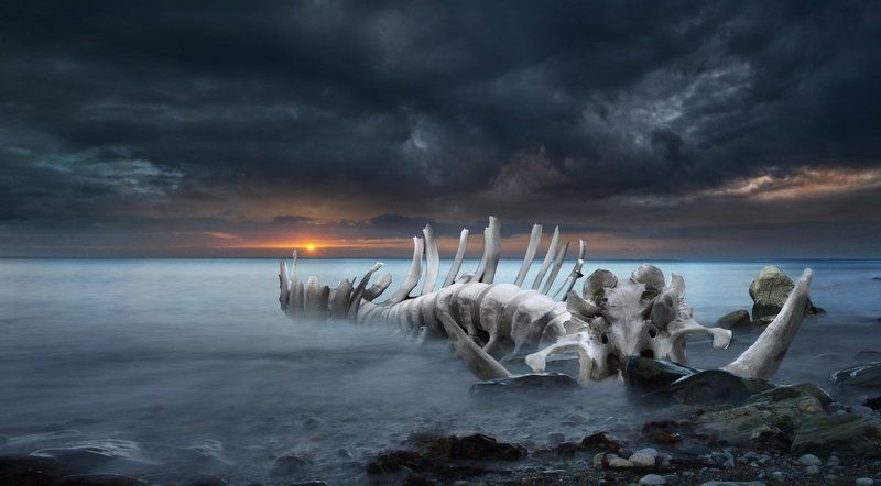 Digital manipulation, Fantasy Mammoth Gravephoto preview