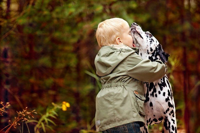 Сбылась мечта собаки.photo preview