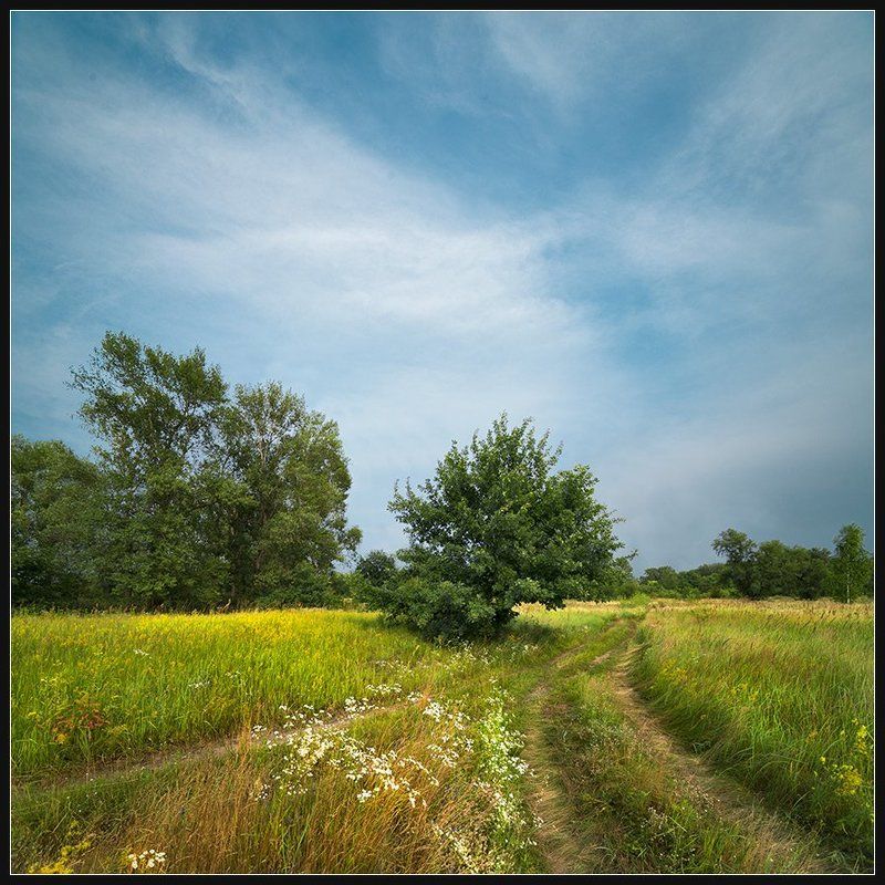 Лето...photo preview