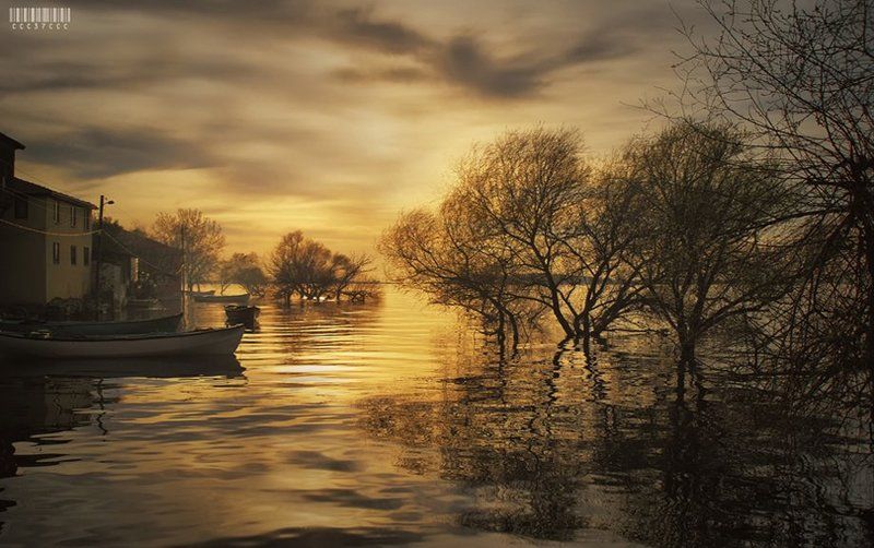 * Veda .... *photo preview