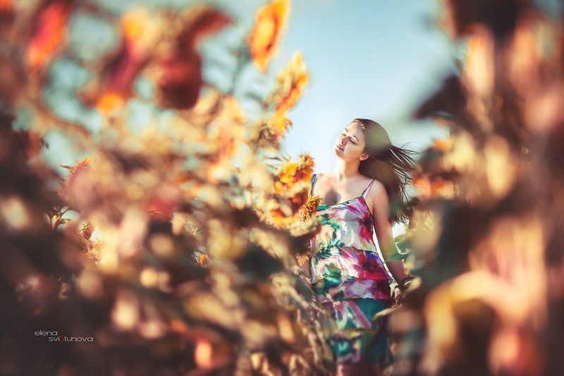 Девушка, Пленер, Подсолнухи, Портрет, Фотосессия Юлияphoto preview
