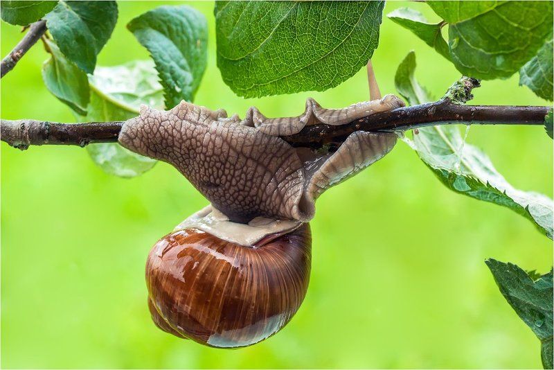 Акробатический этюдphoto preview