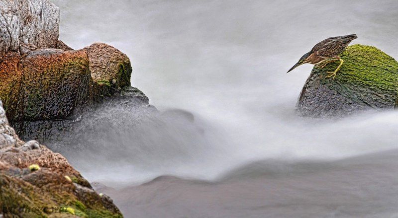 slow sutter speedphoto preview