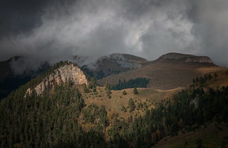 Хребет малые бамбаки photo preview