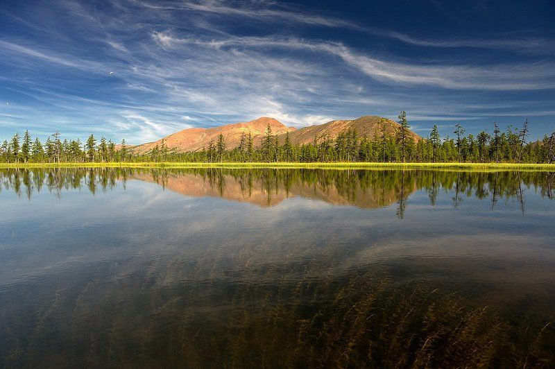 Граница мировphoto preview