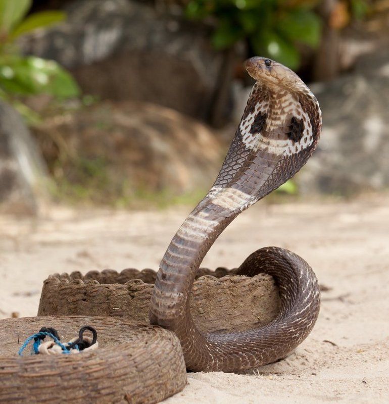 Девушка, Вы так похожи на маму моей жены :) фото превью