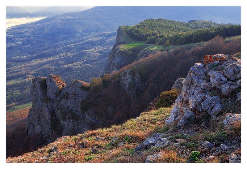 КОЗЫРЁКphoto preview