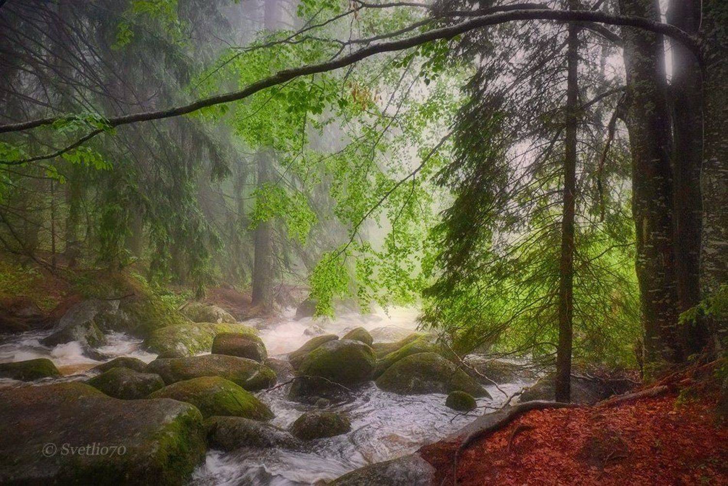 Автор: Svetoslav , Svetoslav