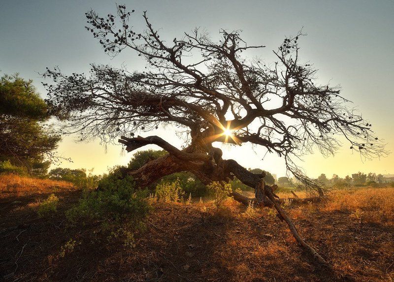 Про побочные эффекты, возникающие при приеме запрещенных препаратовphoto preview