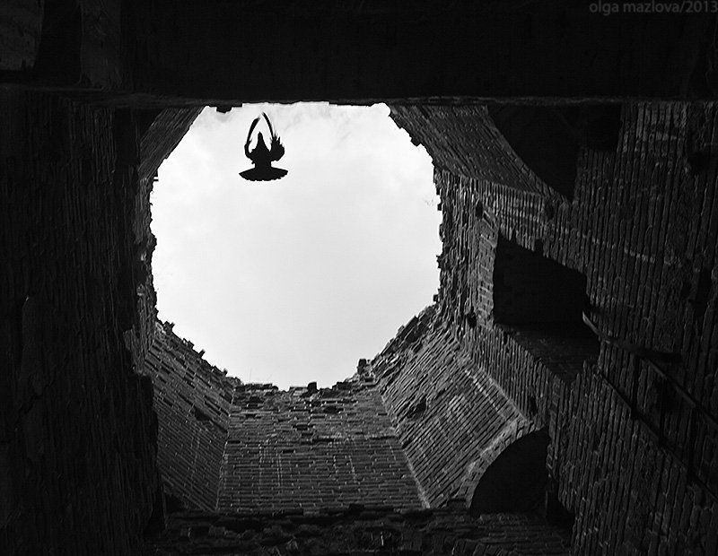 ... фото превью