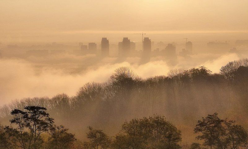 Параллельные мирыphoto preview