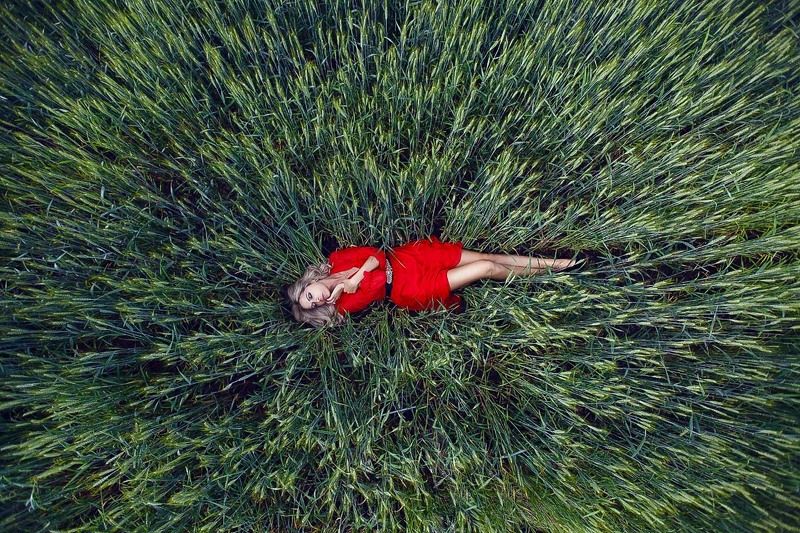 to be foundphoto preview