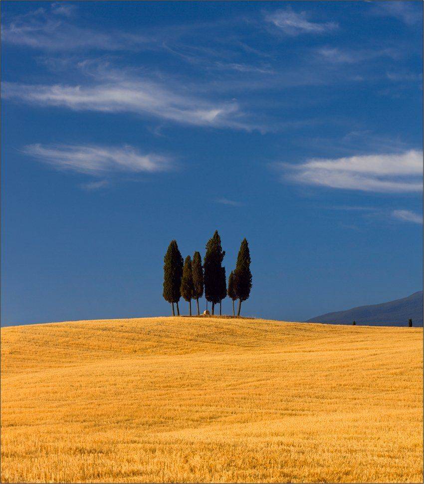 Thepictureform, Tuscany, izh Diletant (Валерий Щербина)