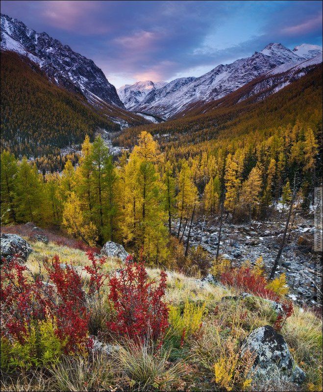 ~ Карамажой ~photo preview