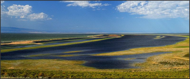 Побережье озера Зайсанphoto preview