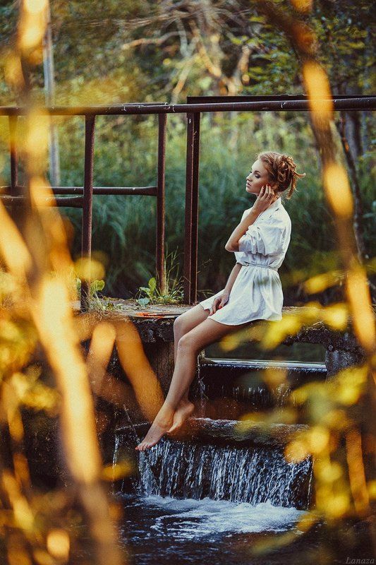 Золото заходящего солнцаphoto preview