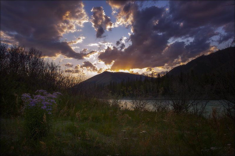 Катунь рекаphoto preview