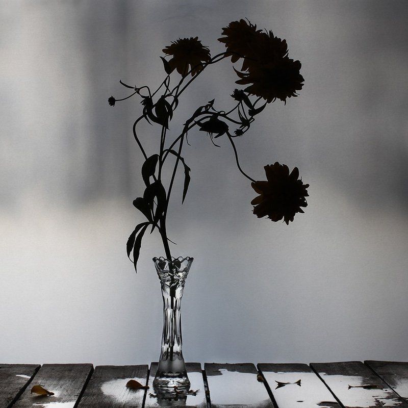 цветы, натюрморт *) *)photo preview