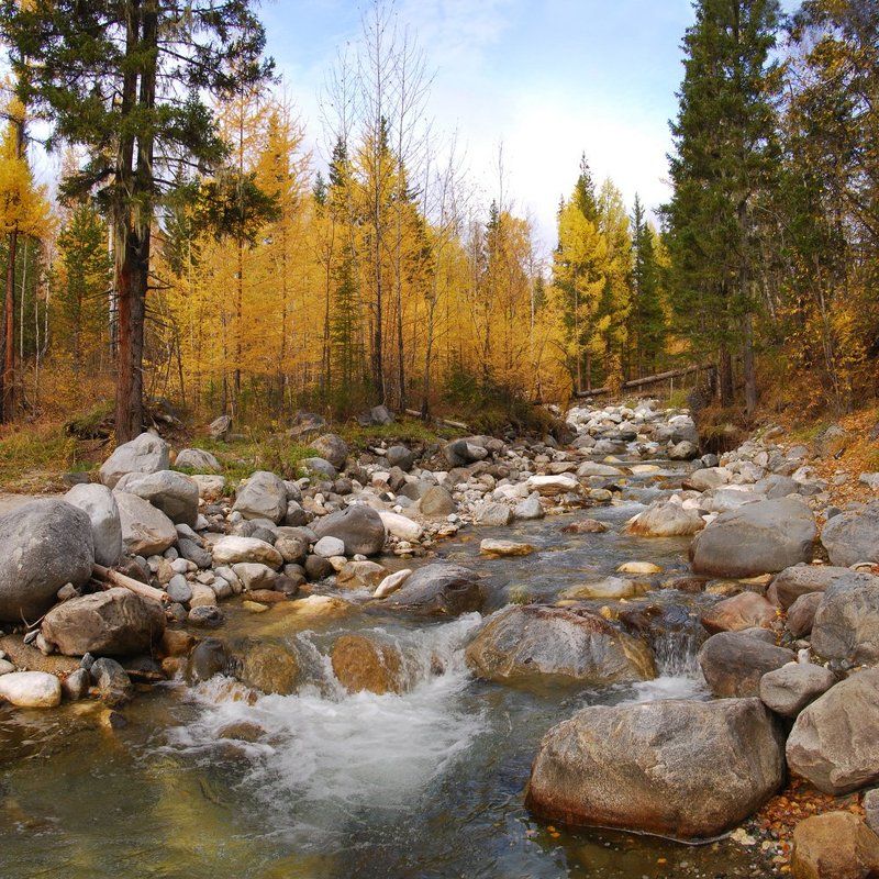Времена года в Саянахphoto preview