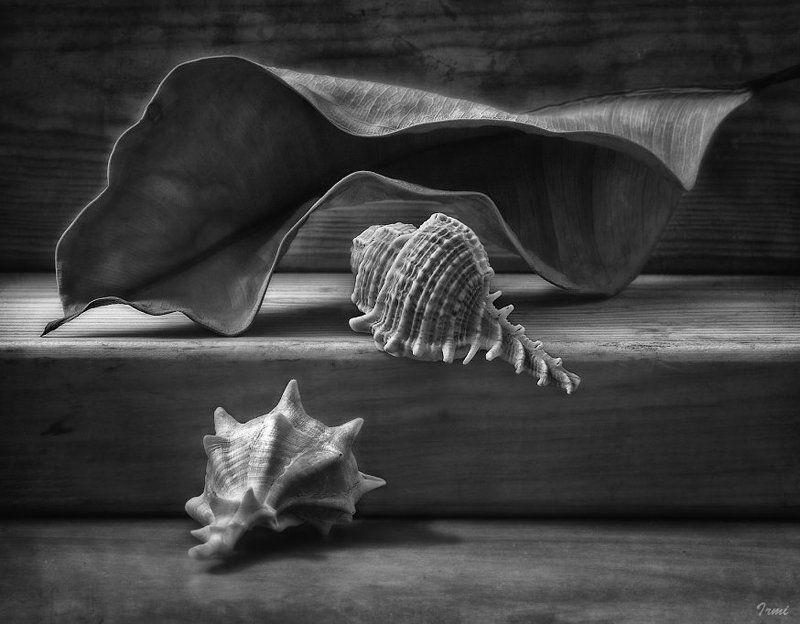 Мы все такие разные, хотя и дико одинаковые!photo preview