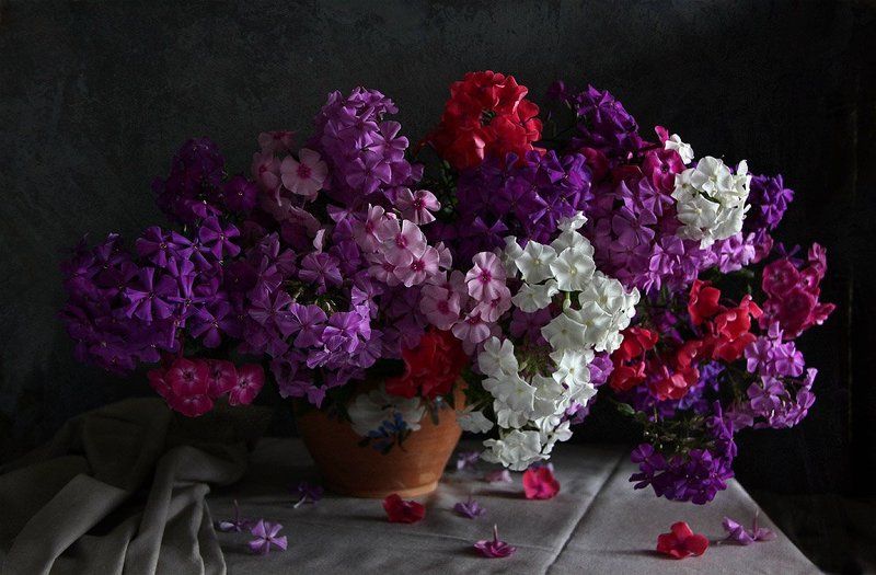 цветы, натюрморт \