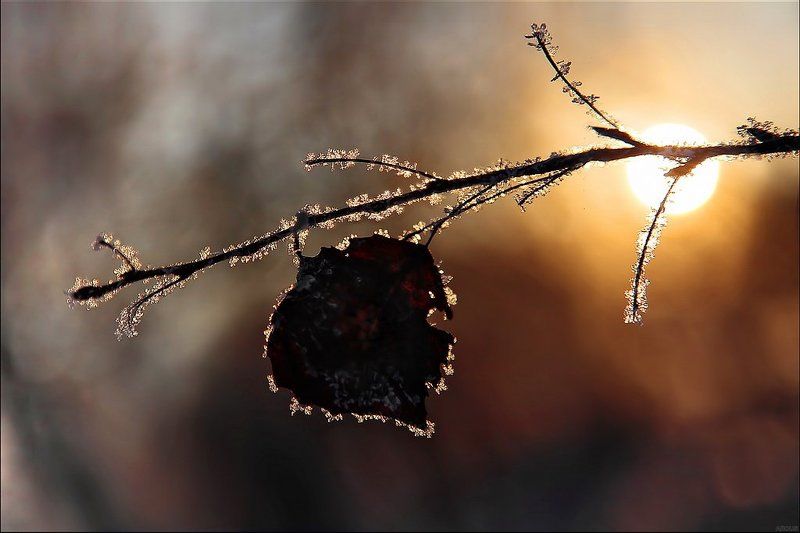 Валентинкаphoto preview