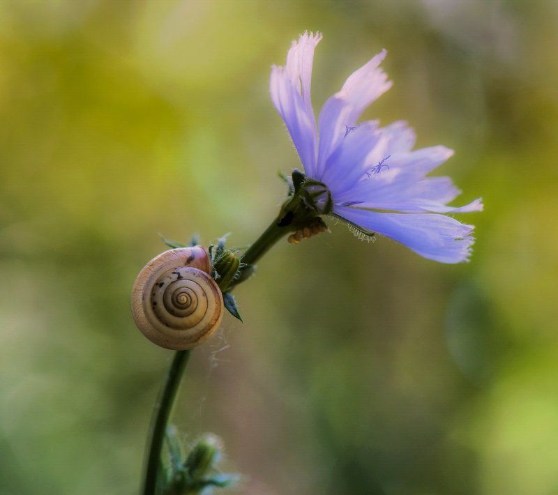 ТУТ И ЖИВУphoto preview