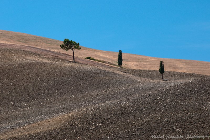 cypress, ,tree, ,hills, ,blue, ,sky, ,tuscany, ,landscape Three treesphoto preview