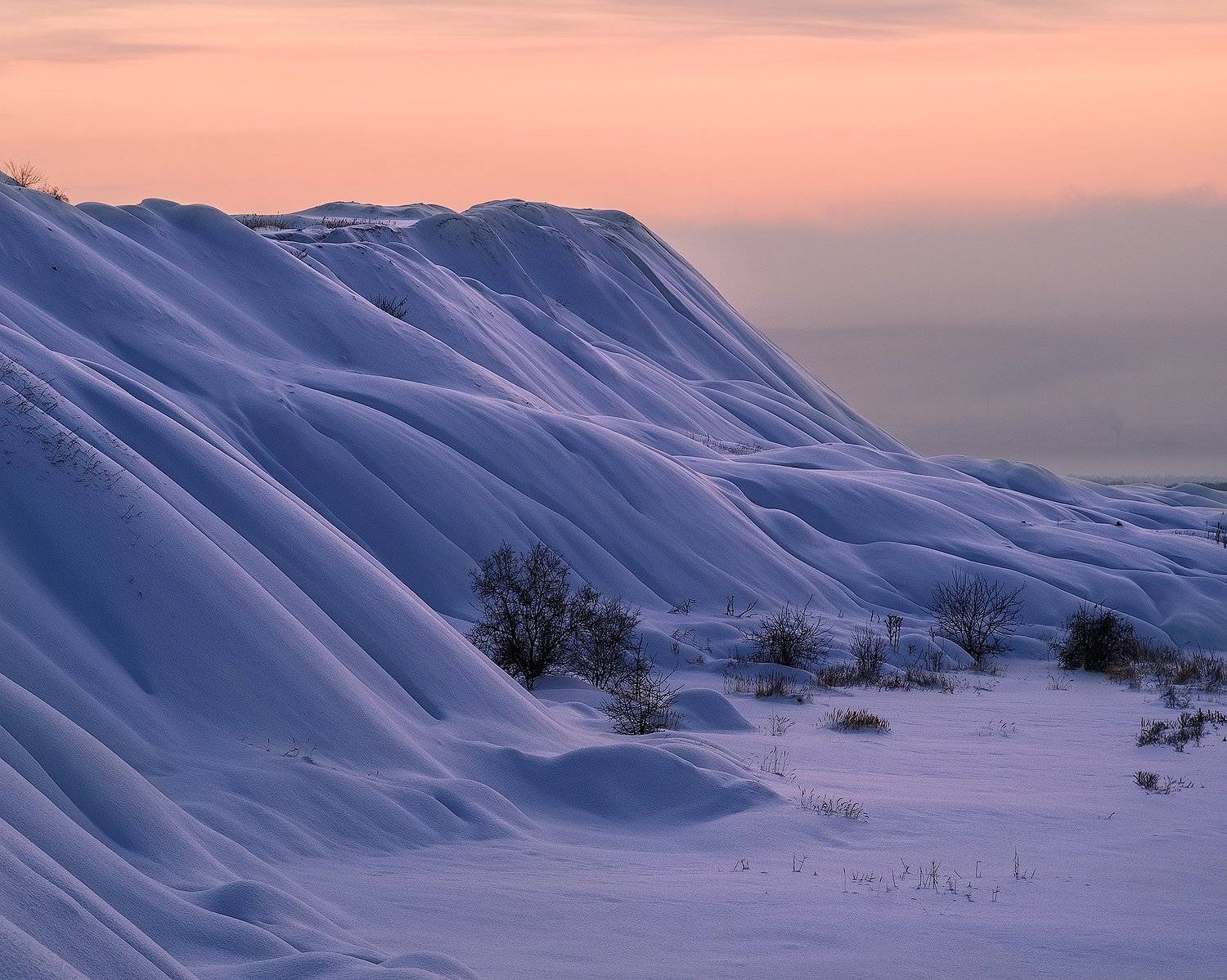 , Дитковский Евгений