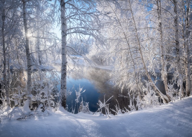 алтай, алтайский край, советский район, река кокша, лебединый заказник, березы в инее, иней, река, вода, зимний пейзаж, декабрь, мороз и солнце В белом кружеве фото превью
