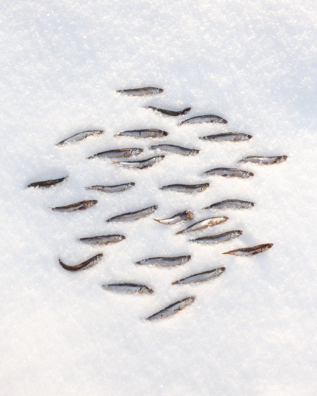 поплылиphoto preview