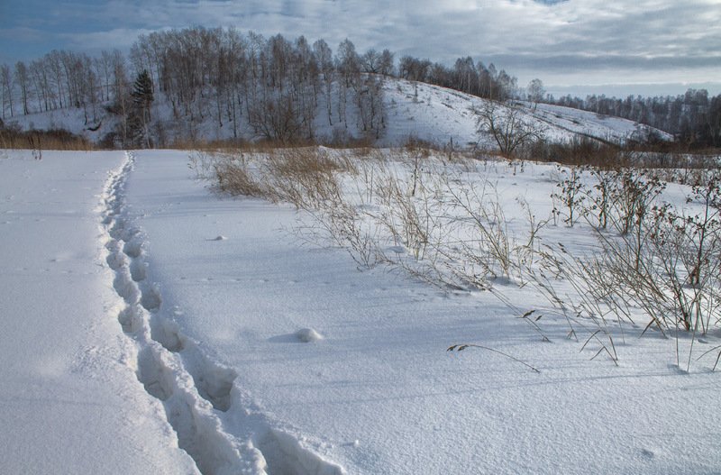 зима, январь *photo preview